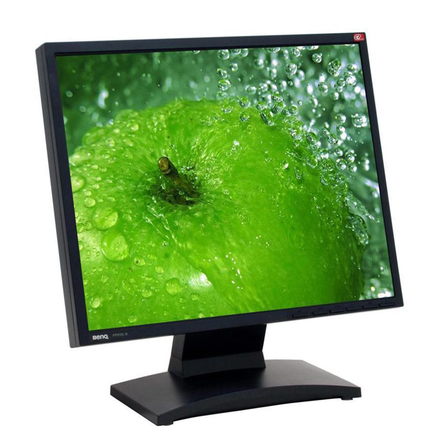 BenQ FP93GX