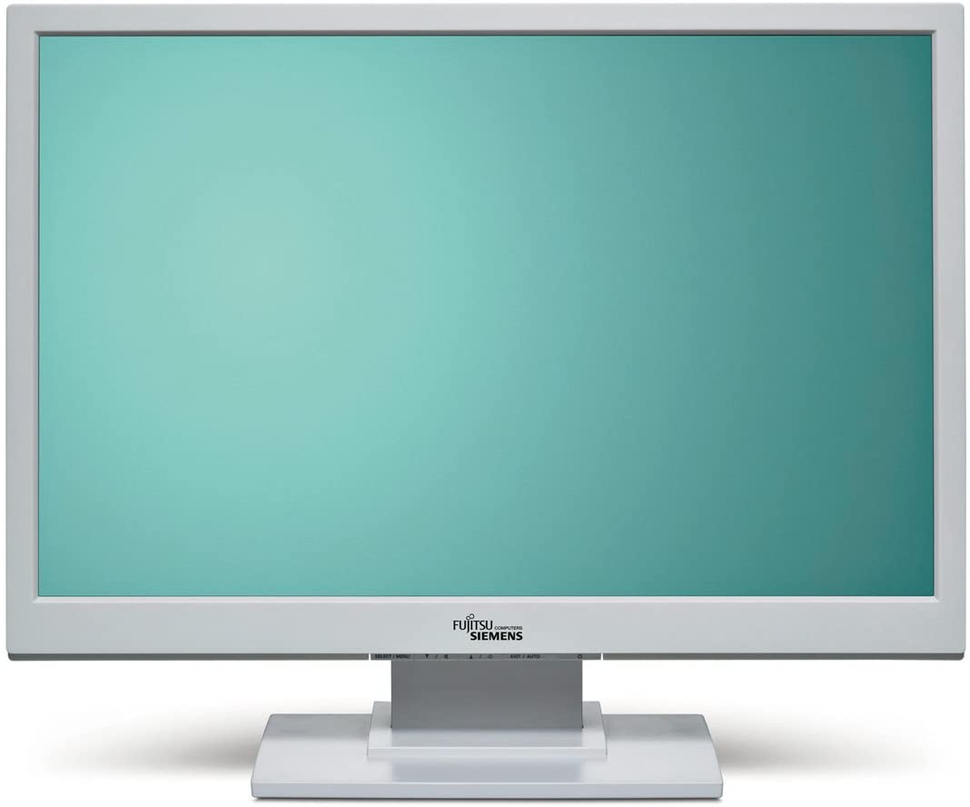 Fujitsu ScenicView A19W-3 LCD Monitor 19" Inch 1440 x 900 Pixels Response Time 5ms Contrast 800:1 Brightness 300 cd/m² VGA