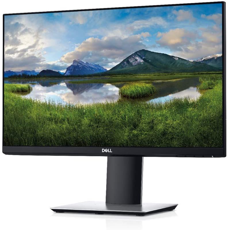 DELL P2219H