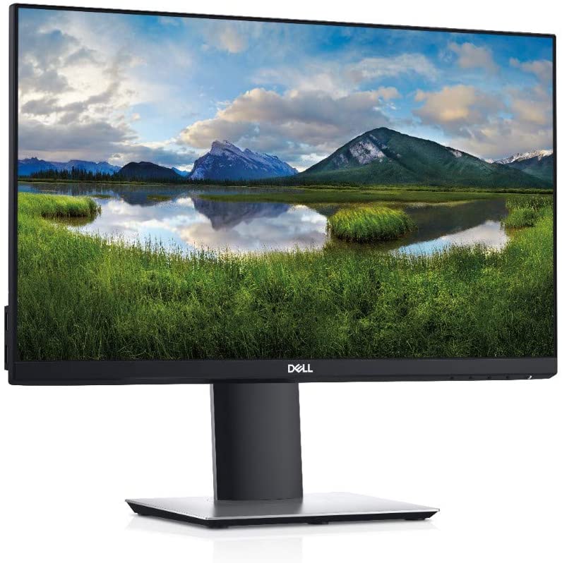 DELL P2219H