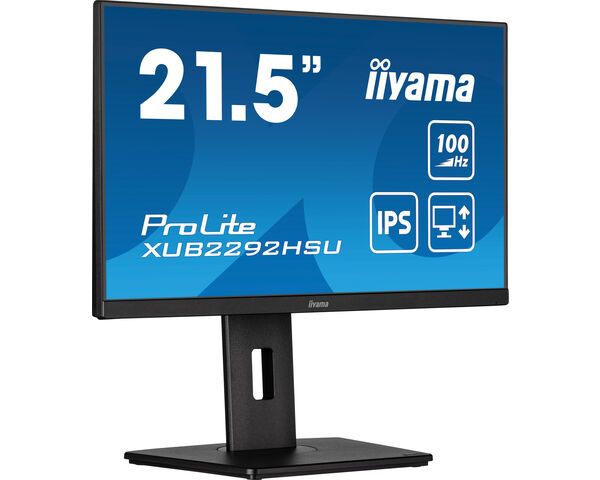 21,5  ETE IPS-panel, 1920x1080 100Hz [IMAGE 1]