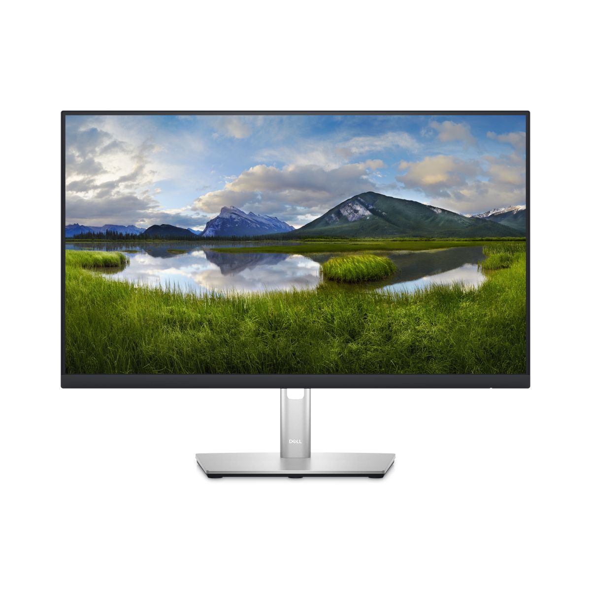 DELL 24 MONITOR P2423D 60,5CM (23,8 ) [IMAGE 1]