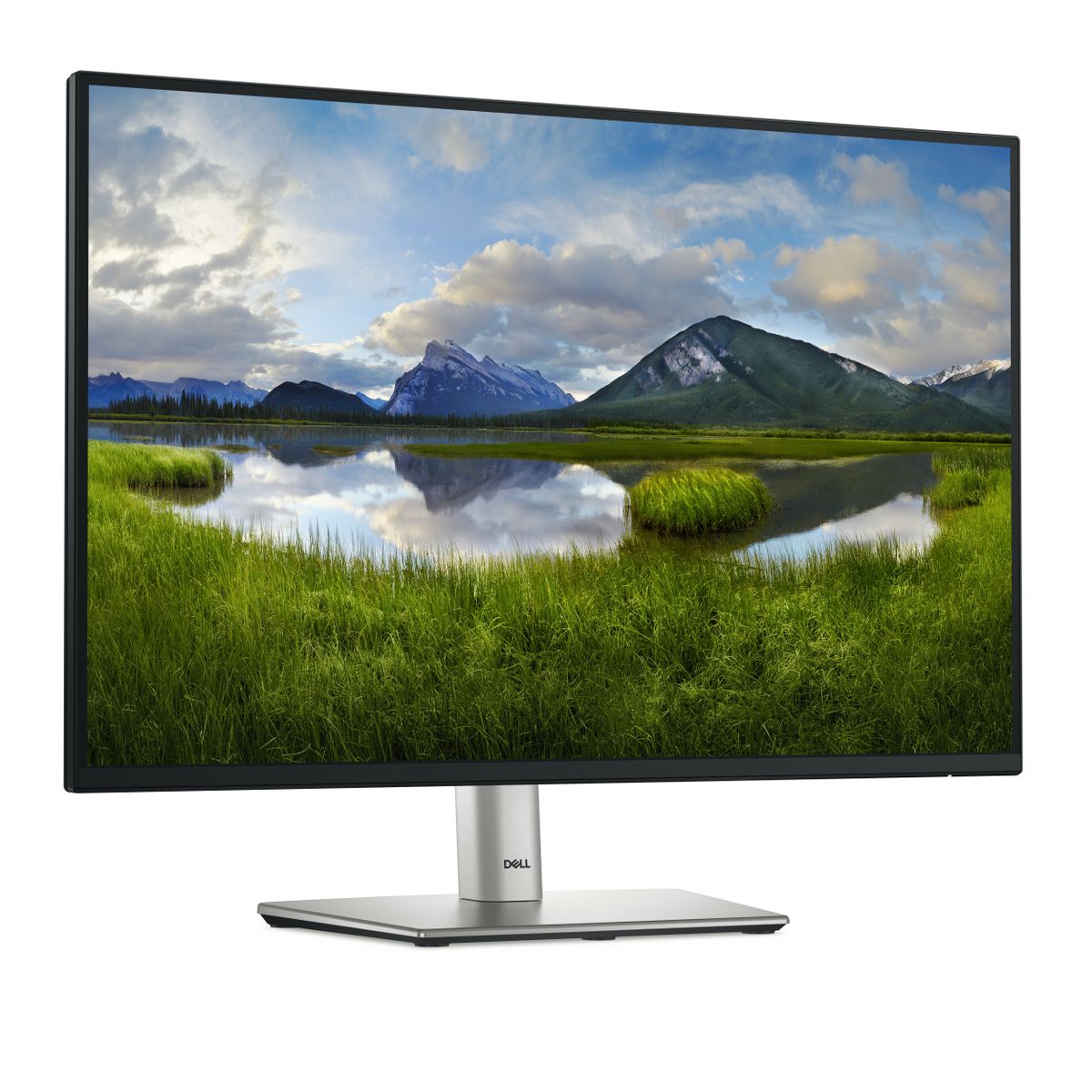 DELL 24 MONITOR P2425 [IMAGE 3]