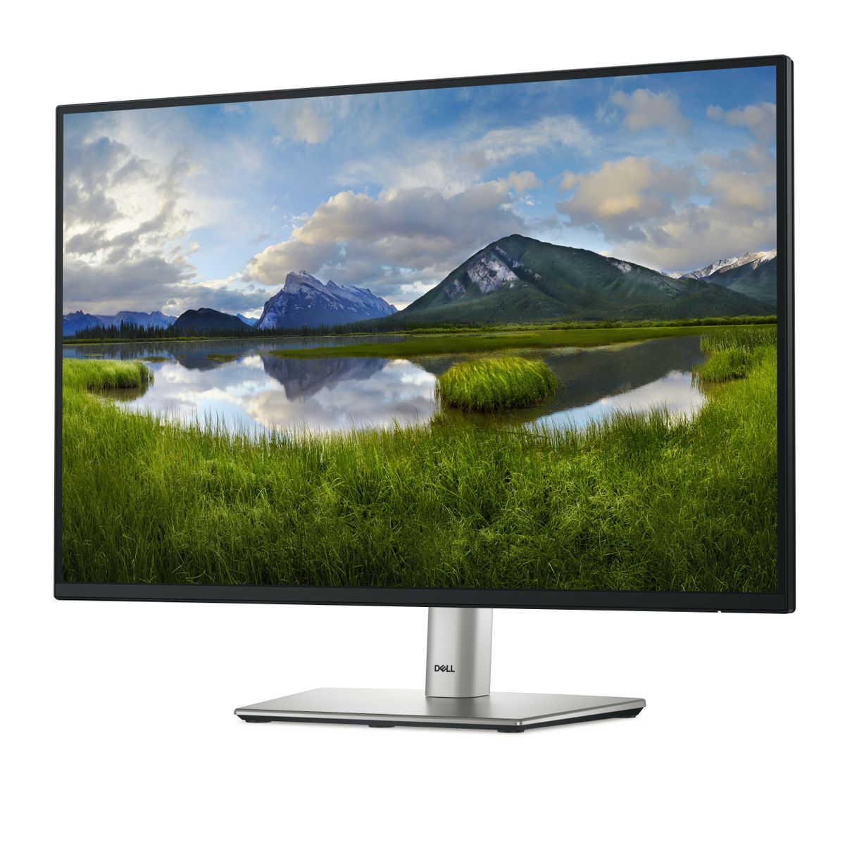 DELL 24 MONITOR P2425 [IMAGE 2]