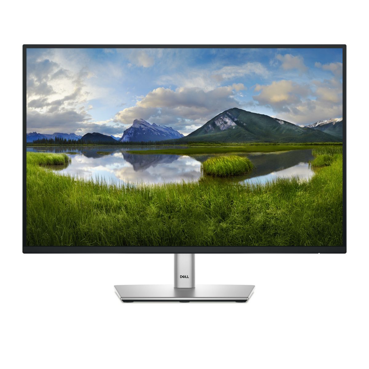 DELL 24 MONITOR P2425 [IMAGE 1]