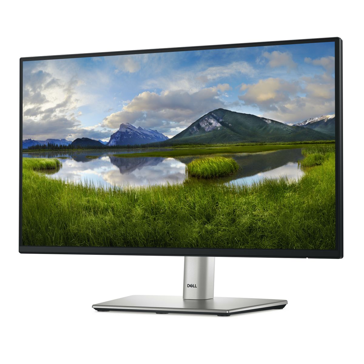 DELL 22 MONITOR P2225H [IMAGE 2]