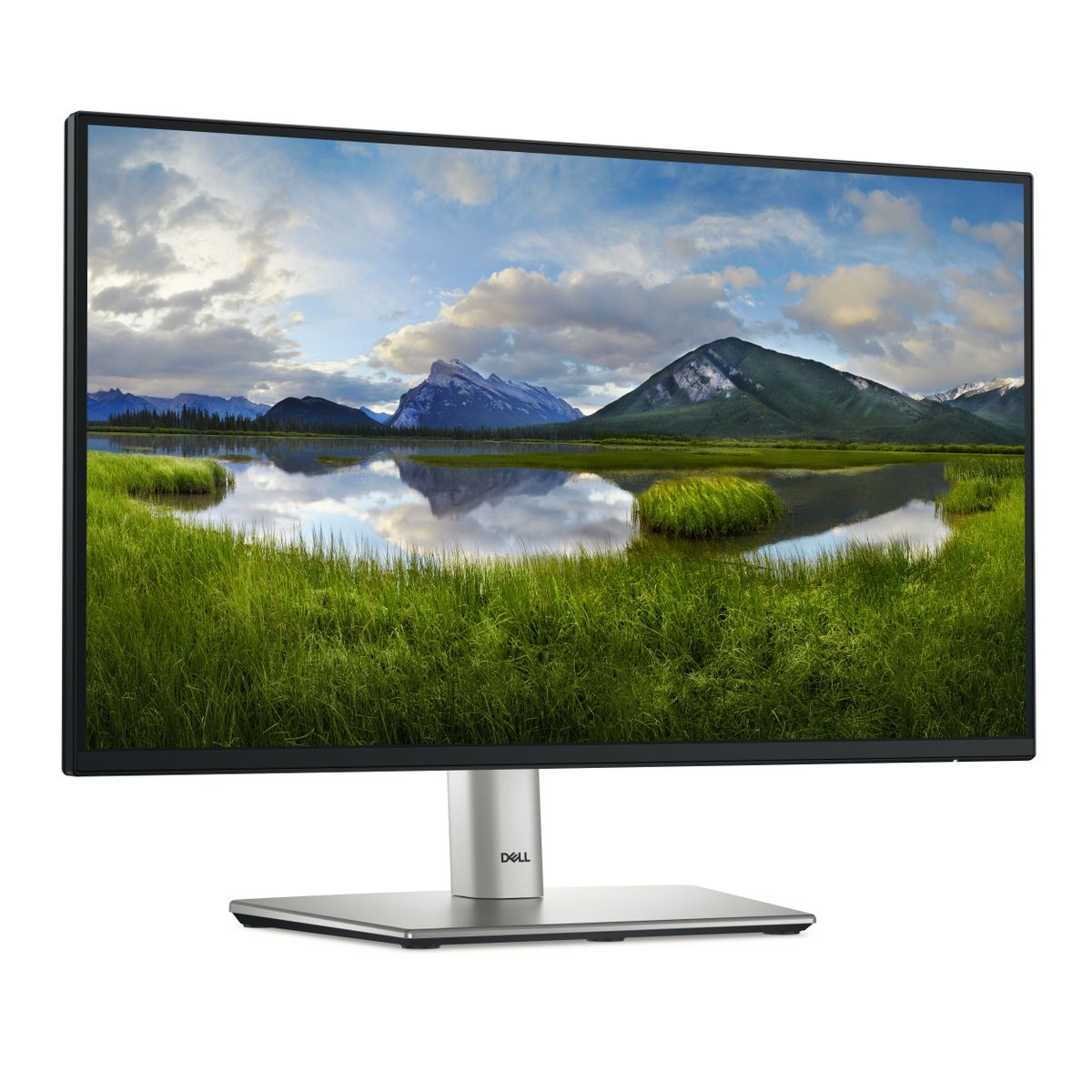 DELL 22 MONITOR P2225H [IMAGE 3]