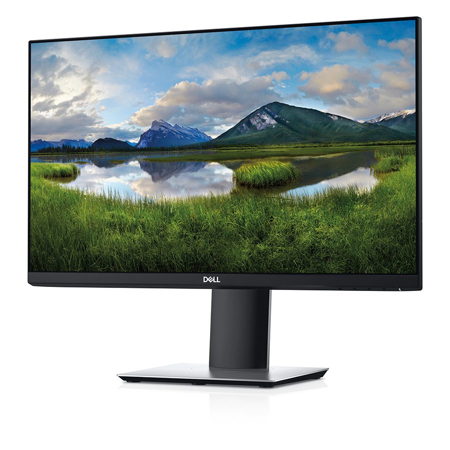 Dell P2319H